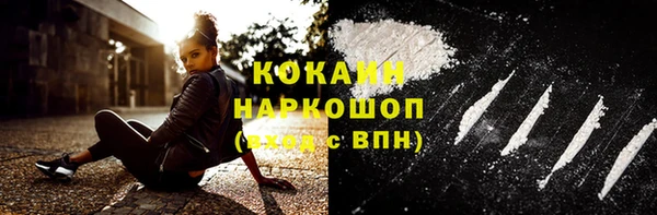 гидра Арсеньев
