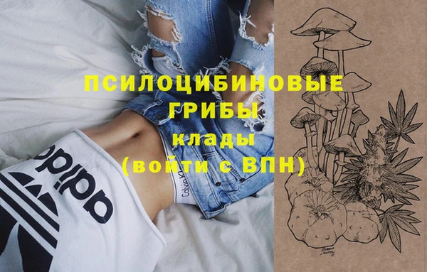 гидра Арсеньев
