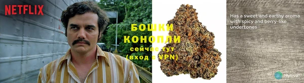 гидра Арсеньев