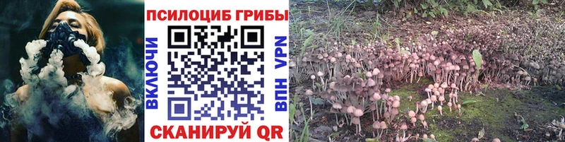 Галлюциногенные грибы Magic Shrooms  блэк спрут как зайти  Приморск 